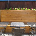 Banquette Growing Greens