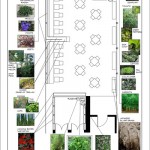 Planting Plan