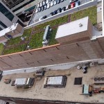 Green Roof on Commercial Urban Building