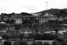 GREEN ROOFS