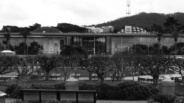 GREEN ROOFS