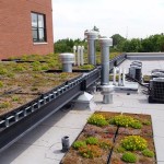 Green Roof Tray System